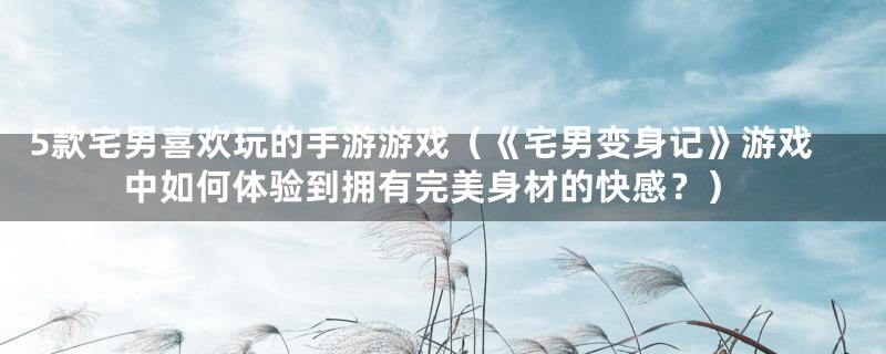 5款宅男喜欢玩的手游游戏(《宅男变身记》游戏中如何体验到拥有完美身材的快感?)