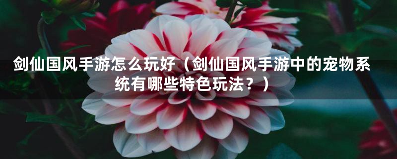 剑仙国风手游怎么玩好（剑仙国风手游中的宠物系统有哪些特色玩法？）