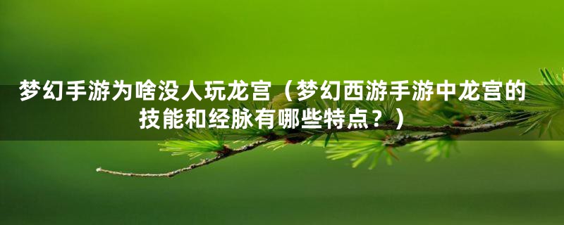 梦幻手游为啥没人玩龙宫（梦幻西游手游中龙宫的技能和经脉有哪些特点？）