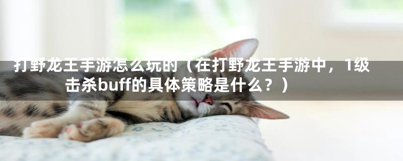 打野龙王手游怎么玩的(在打野龙王手游中,1级击杀buff的具体策略是什么?)