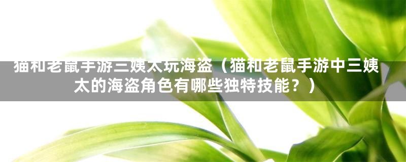 猫和老鼠手游三姨太玩海盗（猫和老鼠手游中三姨太的海盗角色有哪些独特技能？）