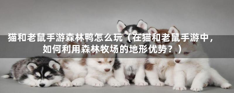猫和老鼠手游森林鸭怎么玩(在猫和老鼠手游中,如何利用森林牧场的地形优势?)