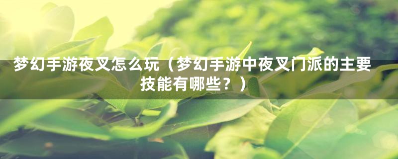梦幻手游夜叉怎么玩(梦幻手游中夜叉门派的主要技能有哪些?)