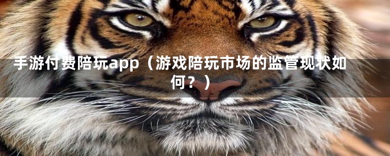 手游付费陪玩app(游戏陪玩市场的监管现状如何?)