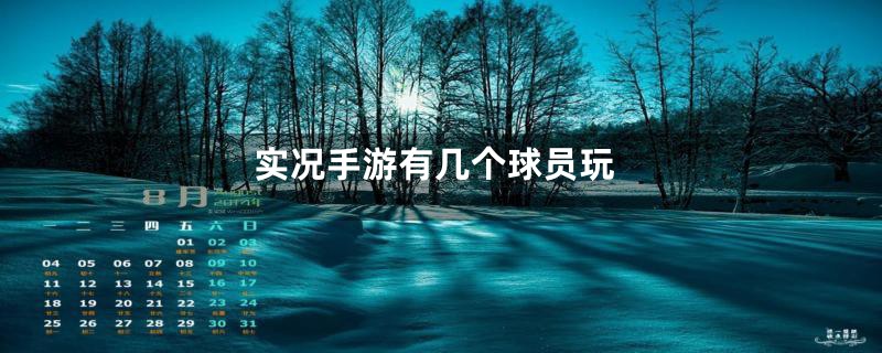 实况手游有几个球员玩