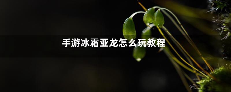 手游冰霜亚龙怎么玩教程