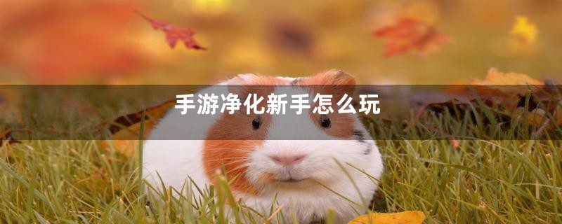 手游净化新手怎么玩