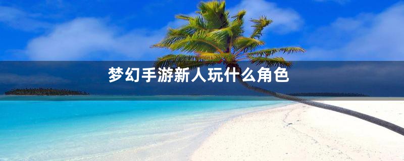 梦幻手游新人玩什么角色