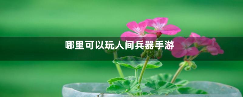 哪里可以玩人间兵器手游