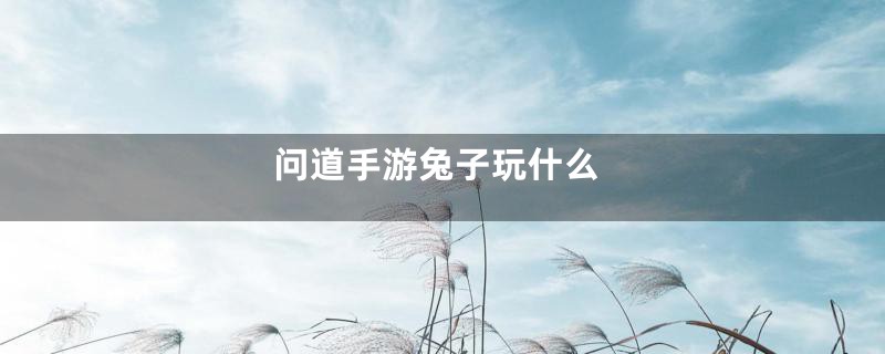 问道手游兔子玩什么