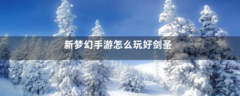 新梦幻手游怎么玩好剑圣