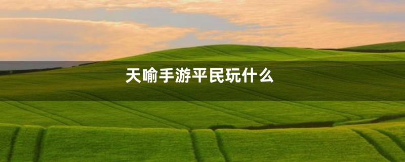 天喻手游平民玩什么