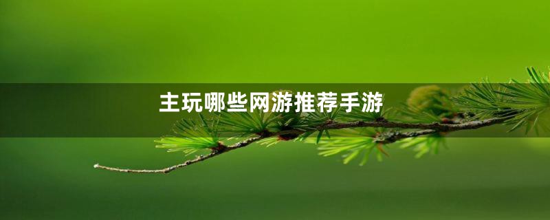 主玩哪些网游推荐手游