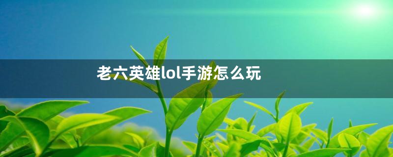 老六英雄lol手游怎么玩