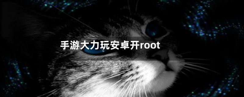 手游大力玩安卓开root