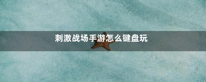 刺激战场手游怎么键盘玩