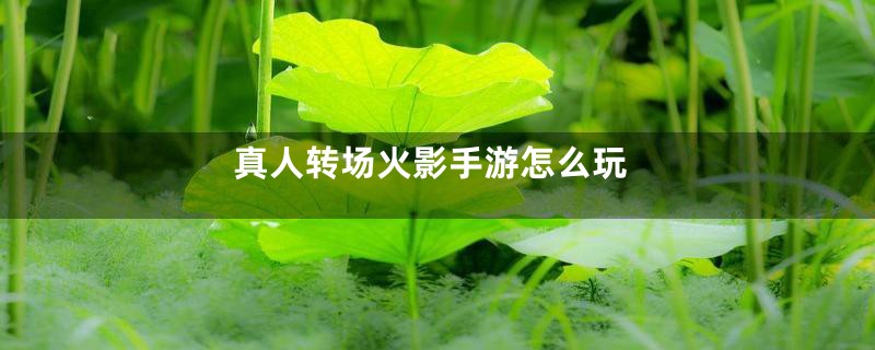 真人转场火影手游怎么玩