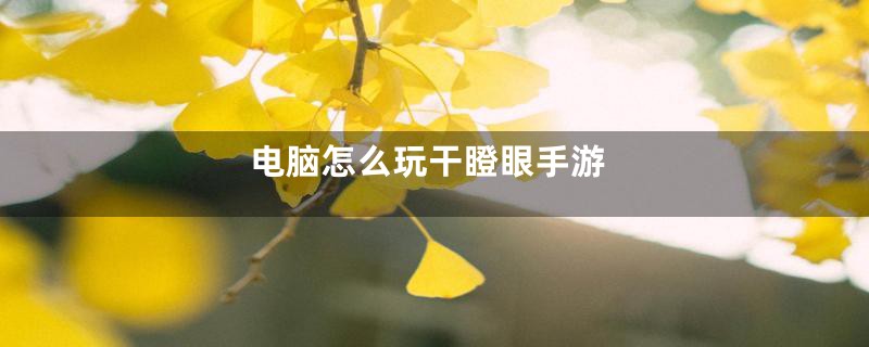 电脑怎么玩干瞪眼手游