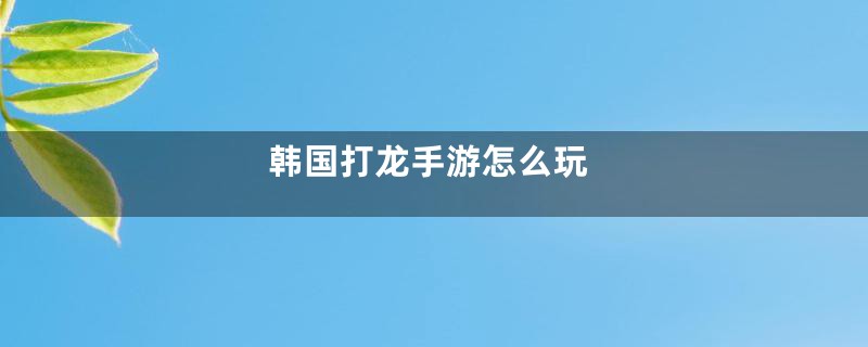 韩国打龙手游怎么玩