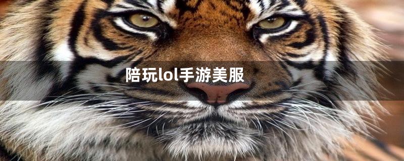 陪玩lol手游美服