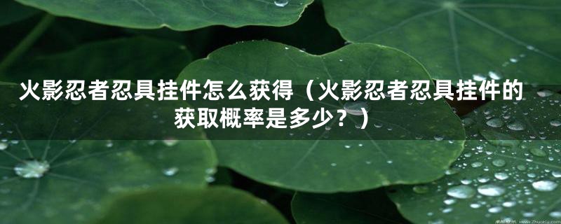 火影忍者忍具挂件怎么获得(火影忍者忍具挂件的获取概率是多少?)