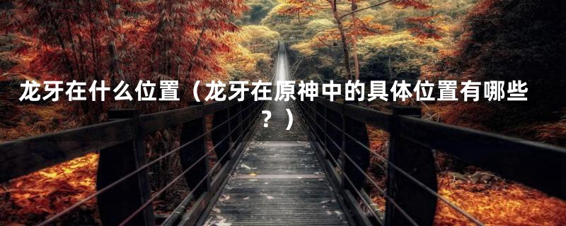 龙牙在什么位置（龙牙在原神中的具体位置有哪些？）