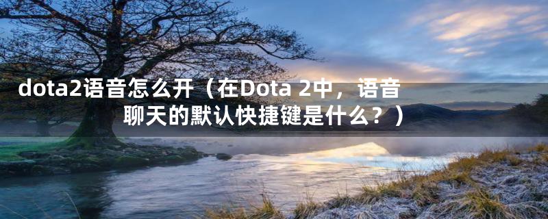 dota2语音怎么开(在Dota 2中,语音聊天的默认快捷键是什么?)