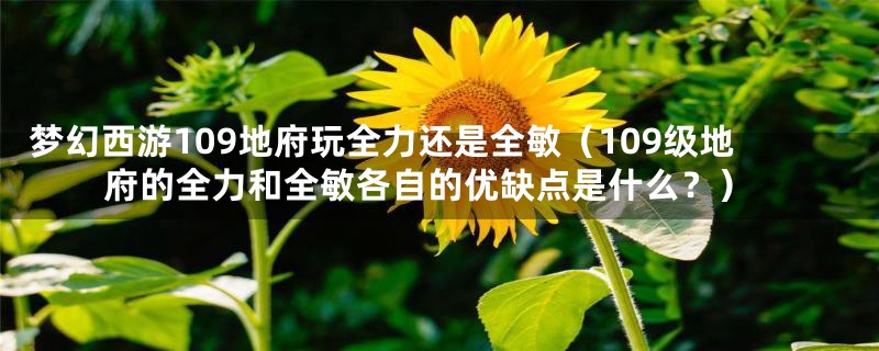 梦幻西游109地府玩全力还是全敏(109级地府的全力和全敏各自的优缺点是什么?)