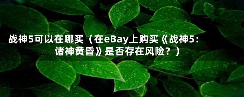 战神5可以在哪买(在eBay上购买《战神5:诸神黄昏》是否存在风险?)