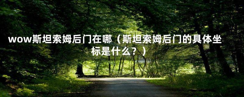 wow斯坦索姆后门在哪(斯坦索姆后门的具体坐标是什么?)