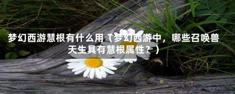 梦幻西游慧根有什么用(梦幻西游中,哪些召唤兽天生具有慧根属性?)