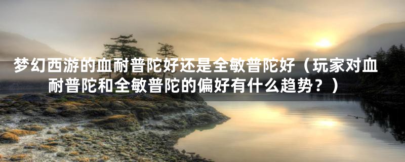 梦幻西游的血耐普陀好还是全敏普陀好(玩家对血耐普陀和全敏普陀的偏好有什么趋势?)