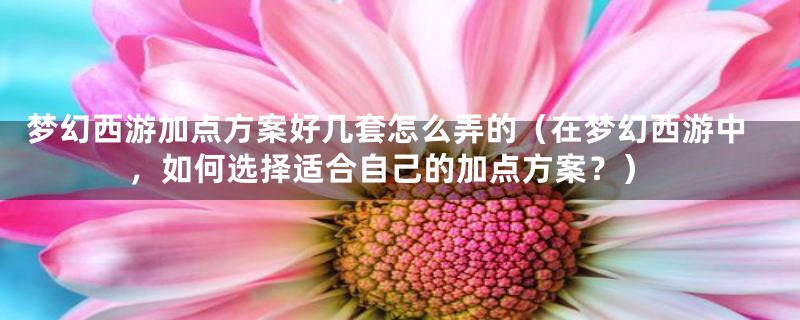 梦幻西游加点方案好几套怎么弄的(在梦幻西游中,如何选择适合自己的加点方案?)