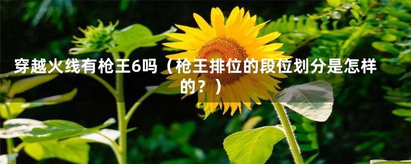 穿越火线有枪王6吗(枪王排位的段位划分是怎样的?)