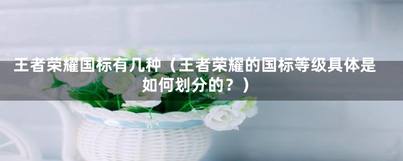 王者荣耀国标有几种(王者荣耀的国标等级具体是如何划分的?)