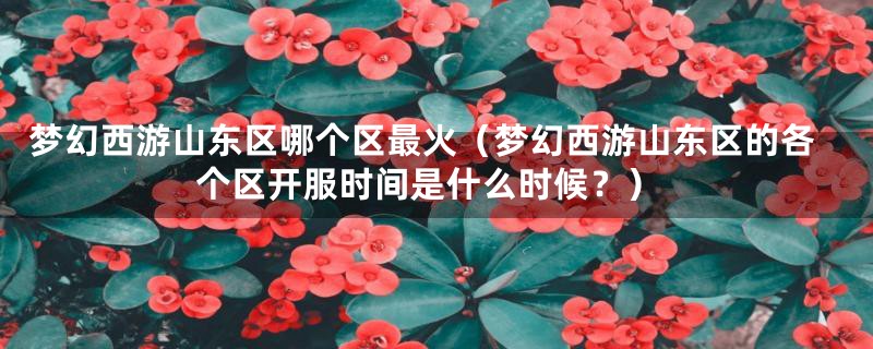 梦幻西游山东区哪个区最火（梦幻西游山东区的各个区开服时间是什么时候？）