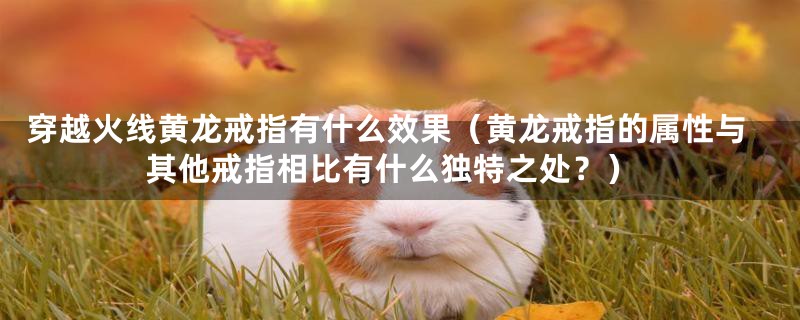 穿越火线黄龙戒指有什么效果（黄龙戒指的属性与其他戒指相比有什么独特之处？）