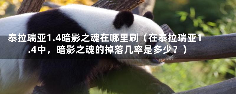泰拉瑞亚1.4暗影之魂在哪里刷(在泰拉瑞亚1.4中,暗影之魂的掉落几率是多少?)