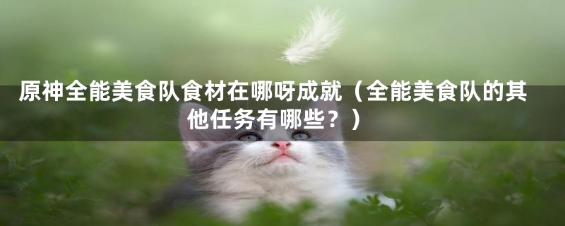 原神全能美食队食材在哪呀成就（全能美食队的其他任务有哪些？）