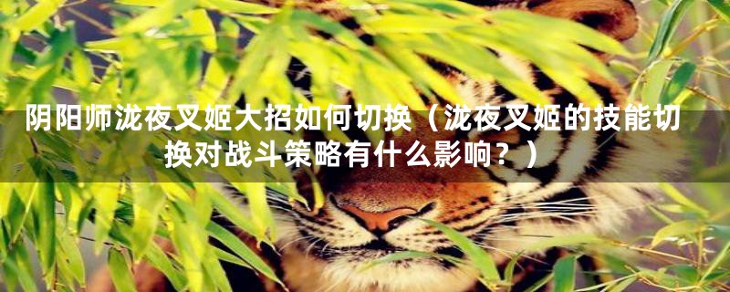阴阳师泷夜叉姬大招如何切换(泷夜叉姬的技能切换对战斗策略有什么影响?)