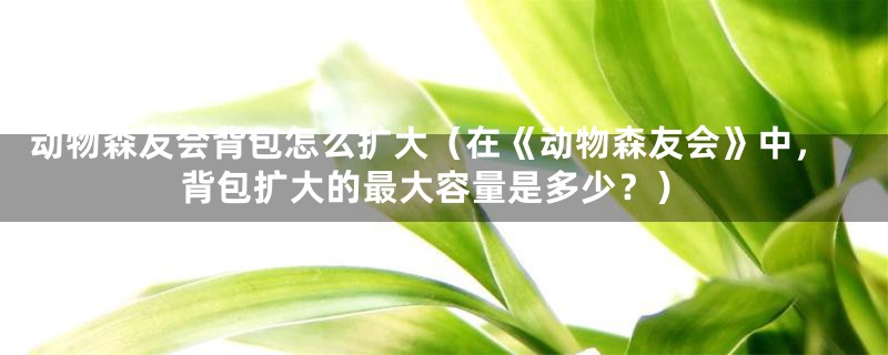 动物森友会背包怎么扩大(在《动物森友会》中,背包扩大的最大容量是多少?)