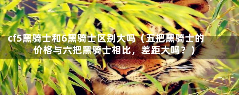 cf5黑骑士和6黑骑士区别大吗(五把黑骑士的价格与六把黑骑士相比,差距大吗?)