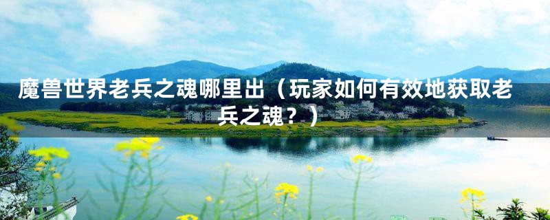 魔兽世界老兵之魂哪里出(玩家如何有效地获取老兵之魂?)