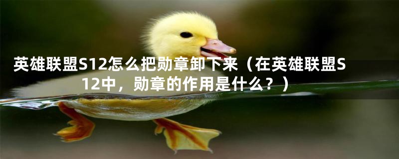 英雄联盟S12怎么把勋章卸下来(在英雄联盟S12中,勋章的作用是什么?)