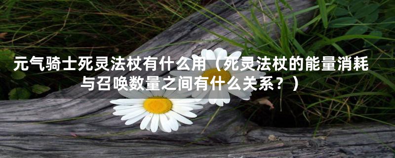 元气骑士死灵法杖有什么用(死灵法杖的能量消耗与召唤数量之间有什么关系?)