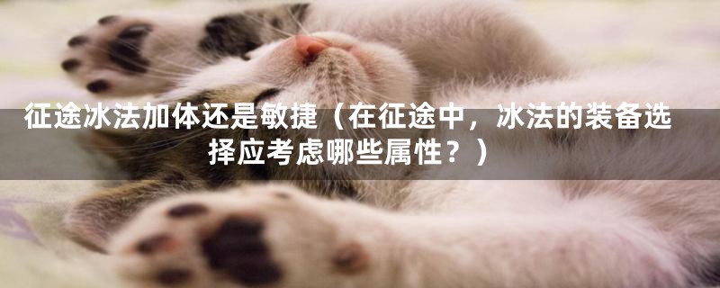 征途冰法加体还是敏捷(在征途中,冰法的装备选择应考虑哪些属性?)