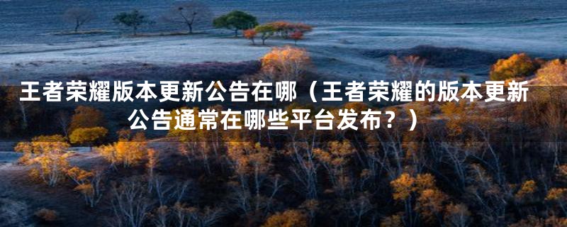 王者荣耀版本更新公告在哪(王者荣耀的版本更新公告通常在哪些平台发布?)