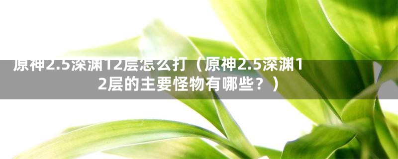 原神2.5深渊12层怎么打（原神2.5深渊12层的主要怪物有哪些？）