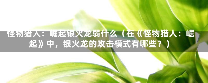 怪物猎人:崛起银火龙弱什么(在《怪物猎人:崛起》中,银火龙的攻击模式有哪些?)