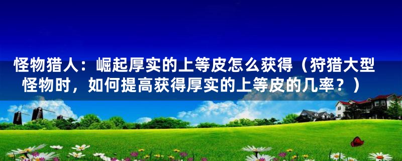怪物猎人:崛起厚实的上等皮怎么获得(狩猎大型怪物时,如何提高获得厚实的上等皮的几率?)